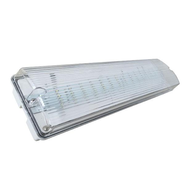Custom Wall Mounted Waterproof LED Emergency Lamp IP65 Emergency Light