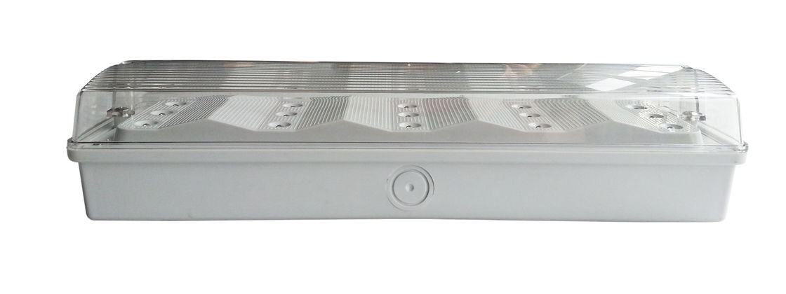 Maintained / Non Maintained IP65 Waterproof Emergency Light  220V - 240V 50Hz / 60Hz (EL015AM)