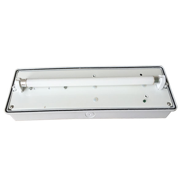 Ceiling Surface Mounted Fluorescent Emergency Light Fixtures Ce Rohs