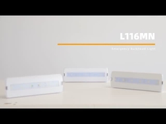 220V Rechargeable Emergency Light 3W Zhuiming LED