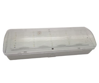 LED Rechargeable Fire-Retardant Plastic Casing and Plate , Bulkhead Emergency Light
