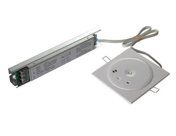 Non Maintained IP20 LED Recessed Emergency Light Fire Exit Signs 220V