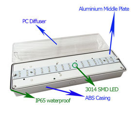 Battery Operated Self Testing IP65 Waterproof Emergency Light Recahrgeable (EL030AN)