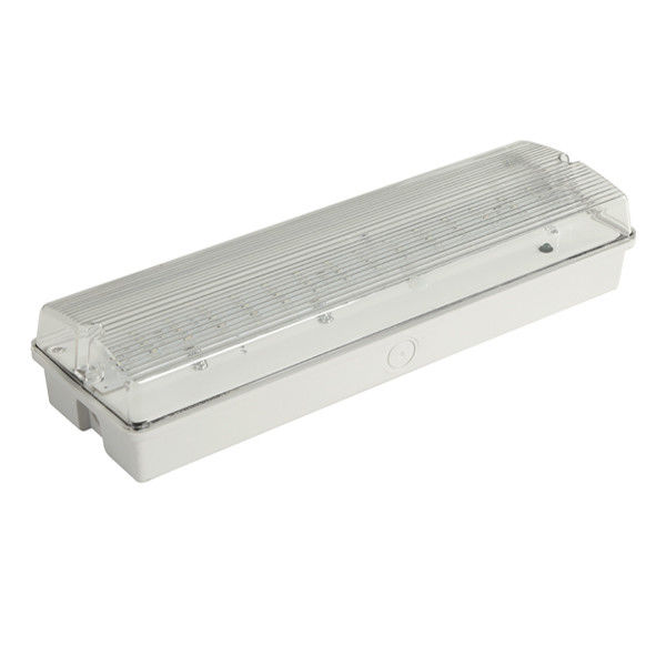 Custom Wall Surface Mounted Waterproof Emergency Light IP65 SMD Wet Location Outdoor EL060AN