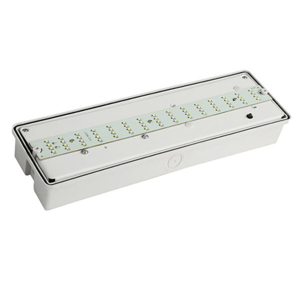 Custom Wall Surface Mounted Waterproof Emergency Light IP65 SMD Wet Location Outdoor EL060AN