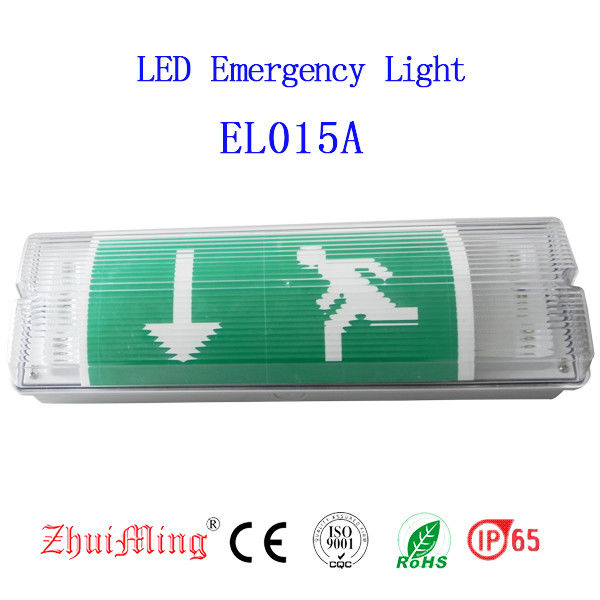 Mounted Waterproof Emergency Bulkhead Light Wall Surface LED Wet Location Outdoor IP65 EL015AMN