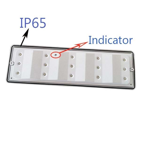 Wall Surface Mounted IP65 Waterproof LED Emergency Bulkhead Light