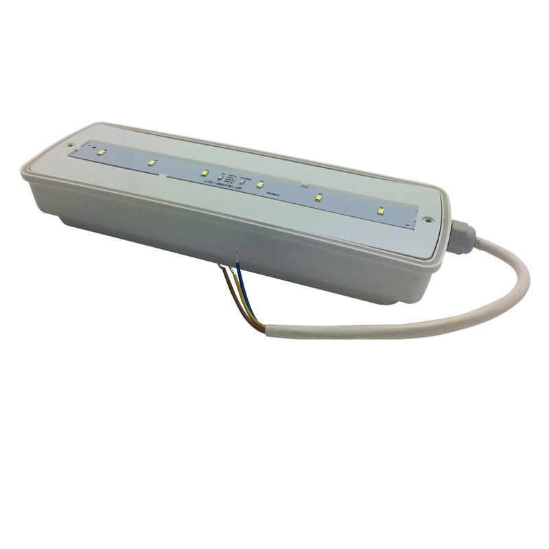 Bulkhead Waterproof Emergency Light Rechargeable IP65 Plastic Ni-Cd with Battery Backup 3 Hours L116N-E