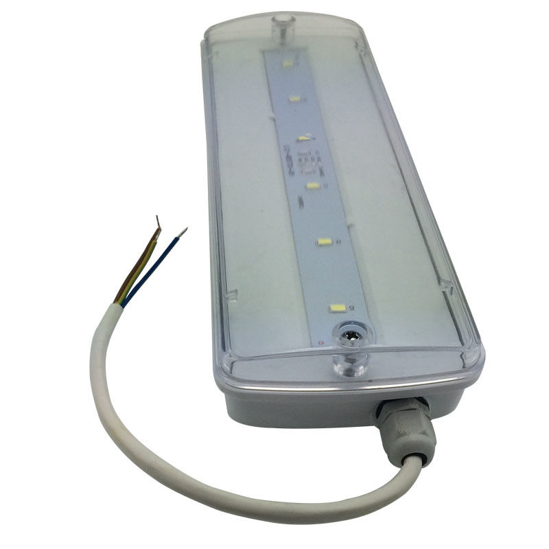 Bulkhead Waterproof Emergency Light Rechargeable IP65 Plastic Ni-Cd with Battery Backup 3 Hours L116N-E