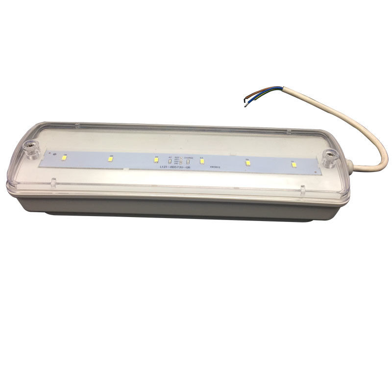 Bulkhead Waterproof Emergency Light Rechargeable IP65 Plastic Ni-Cd with Battery Backup 3 Hours L116N-E