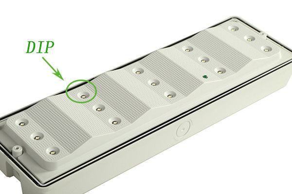 Energy Saving Plastic Waterproof Emergency Light IP65 Wet Location Outdoor 3 Years Warranty EL015AM