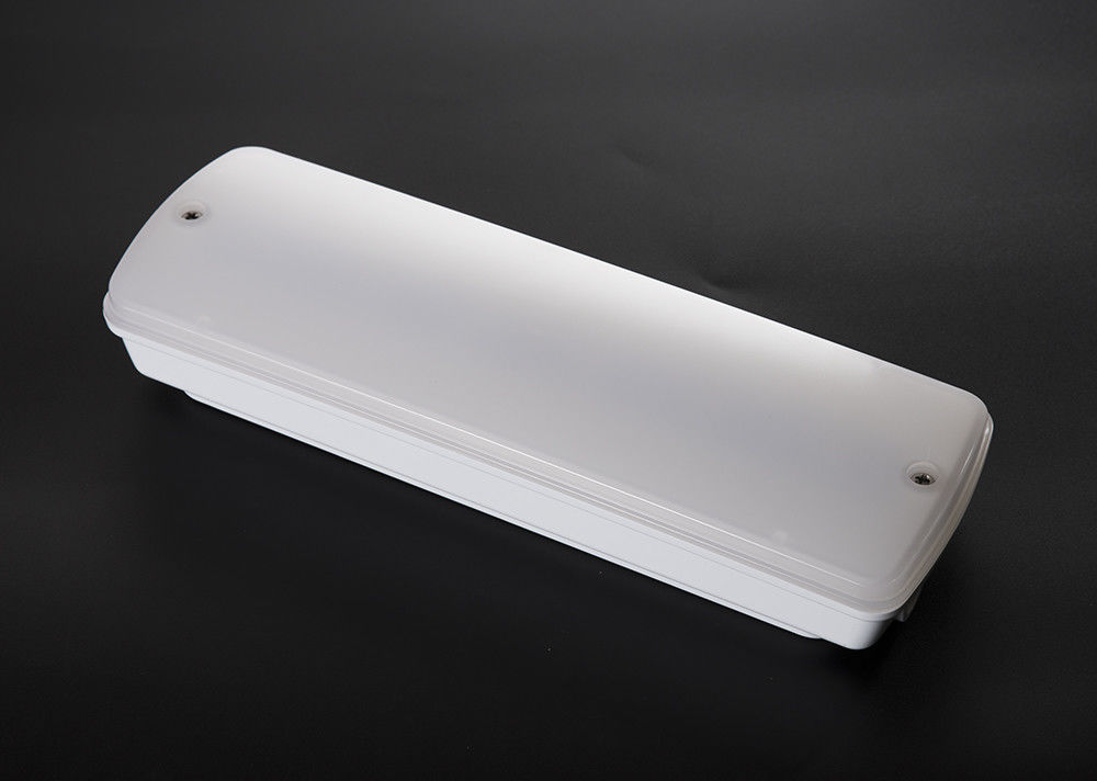 CE Standard Non Maintained Waterproof Emergency Light IP65 Wet Location Ni-Cd Battery L121N