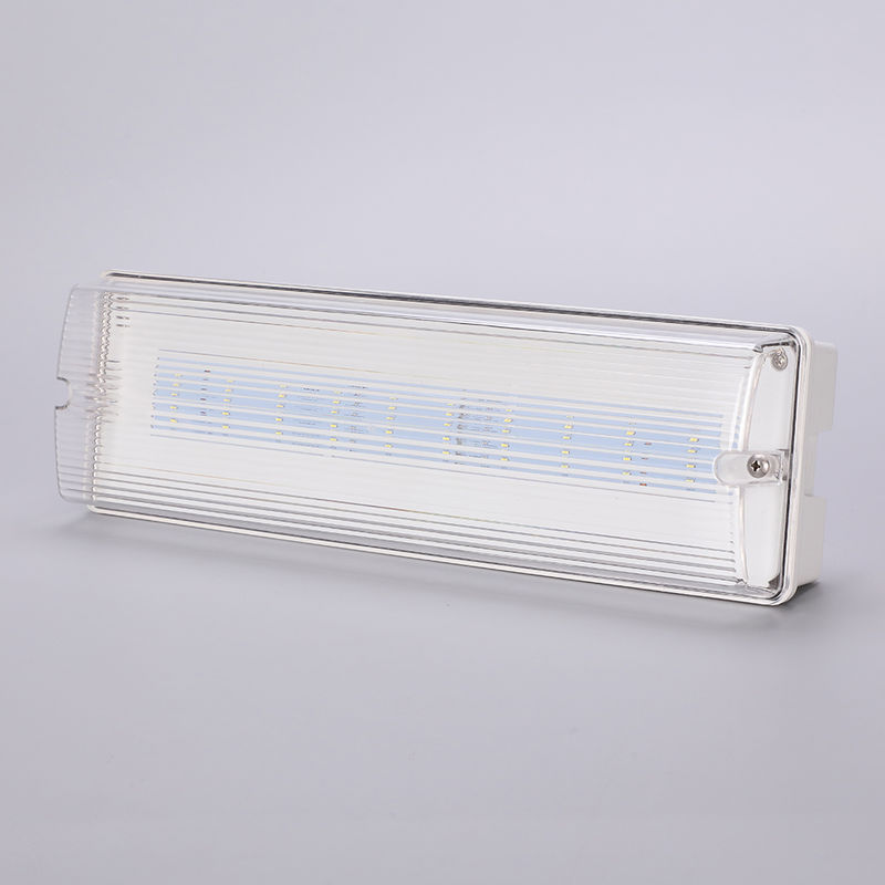 Waterproof LED Emergency Light 3H Ni Cd Battery Backup 3.6V 1.0Ah 5pcs SMD 5730 IP65 6500K