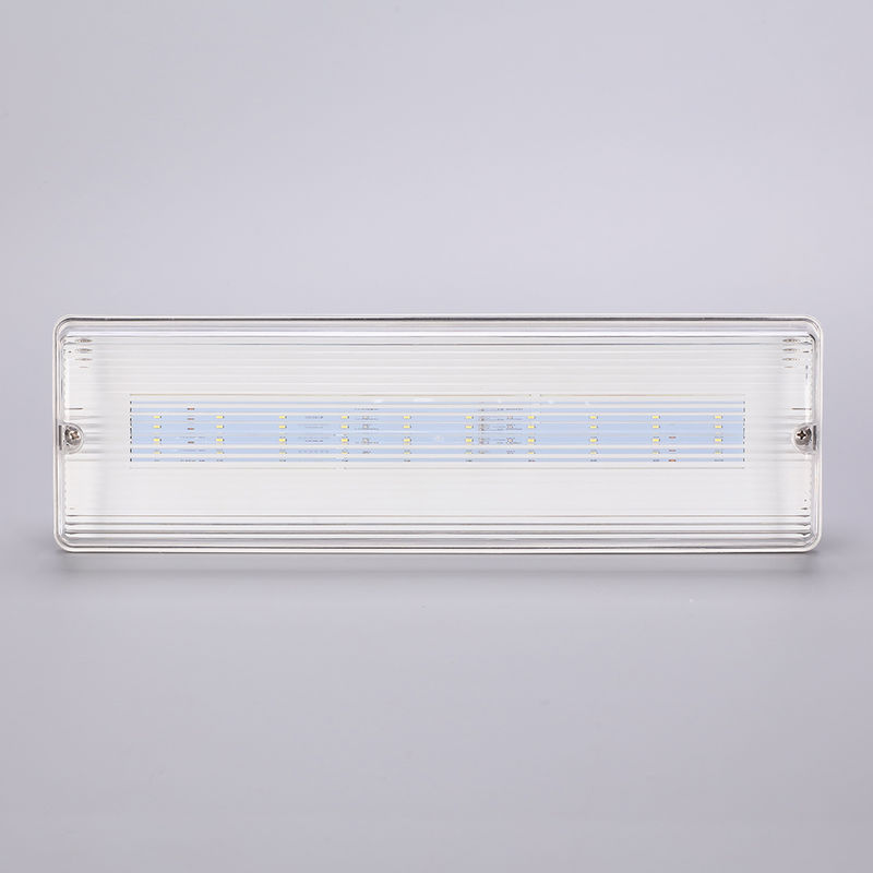 Waterproof LED Emergency Light 3H Ni Cd Battery Backup 3.6V 1.0Ah 5pcs SMD 5730 IP65 6500K