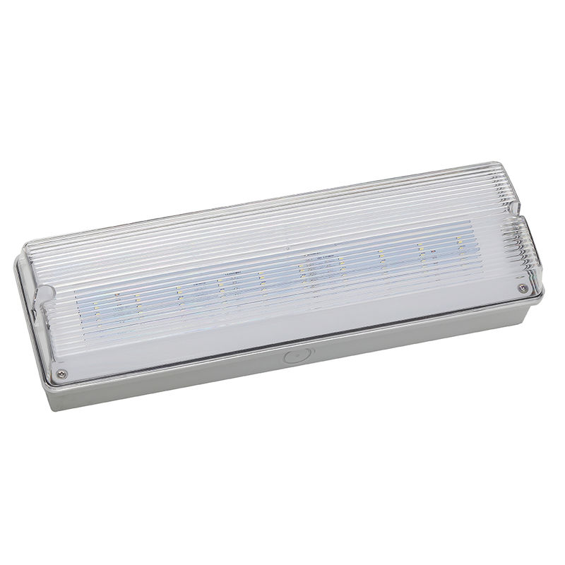 Waterproof LED Emergency Light 3H Ni Cd Battery Backup 3.6V 1.0Ah 5pcs SMD 5730 IP65 6500K