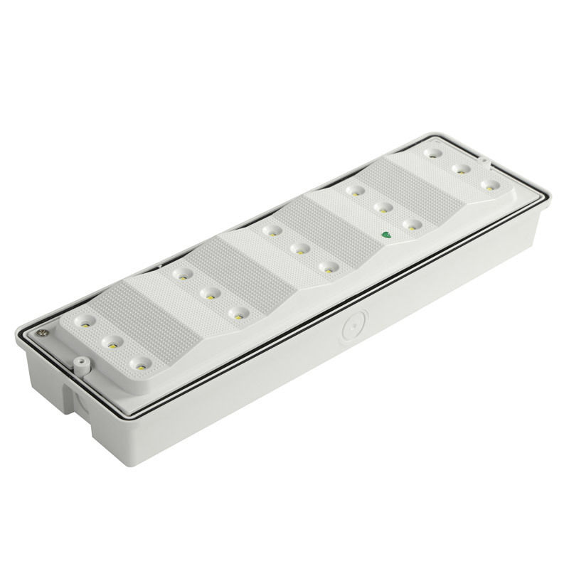 IP65 Waterproof LED Emergency Light 3W Wet Location Ni-Cd Battery Backup 15pcs 2835 SMD 6500K