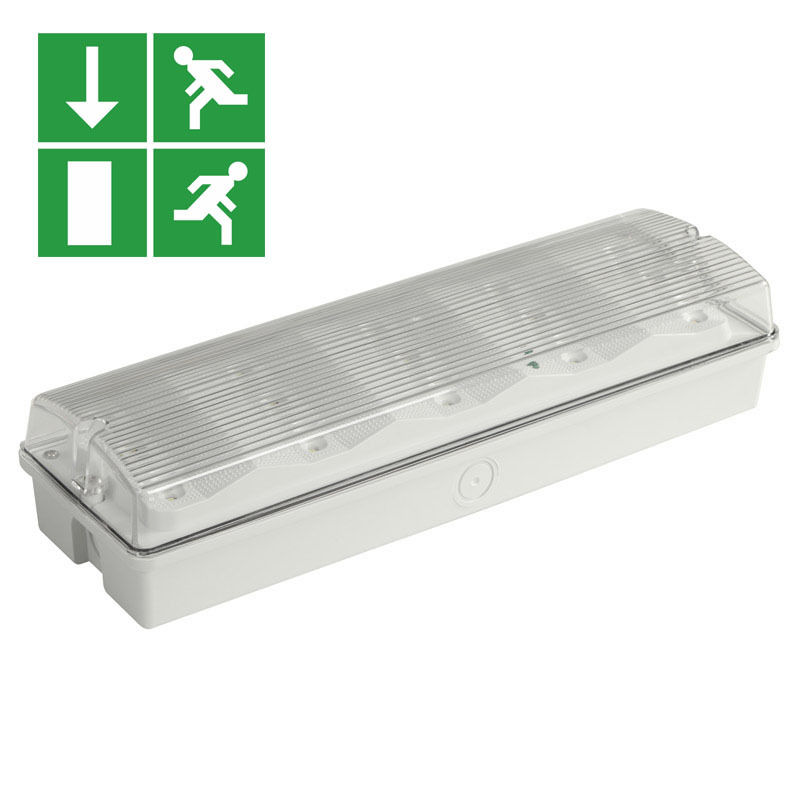 IP65 Waterproof LED Emergency Light 3W Wet Location Ni-Cd Battery Backup 15pcs 2835 SMD 6500K