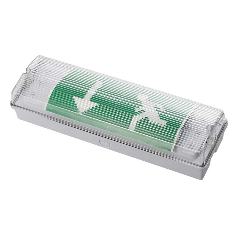IP65 Waterproof LED Emergency Light 3W Wet Location Ni-Cd Battery Backup 15pcs 2835 SMD 6500K