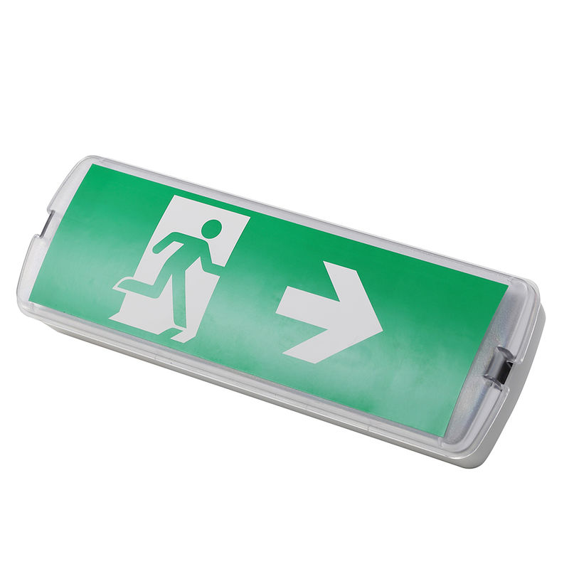 Rechargeable LED Emergency Lamp 3W 6500K Ni CD Battery IP20 SMD LED 220V 240V