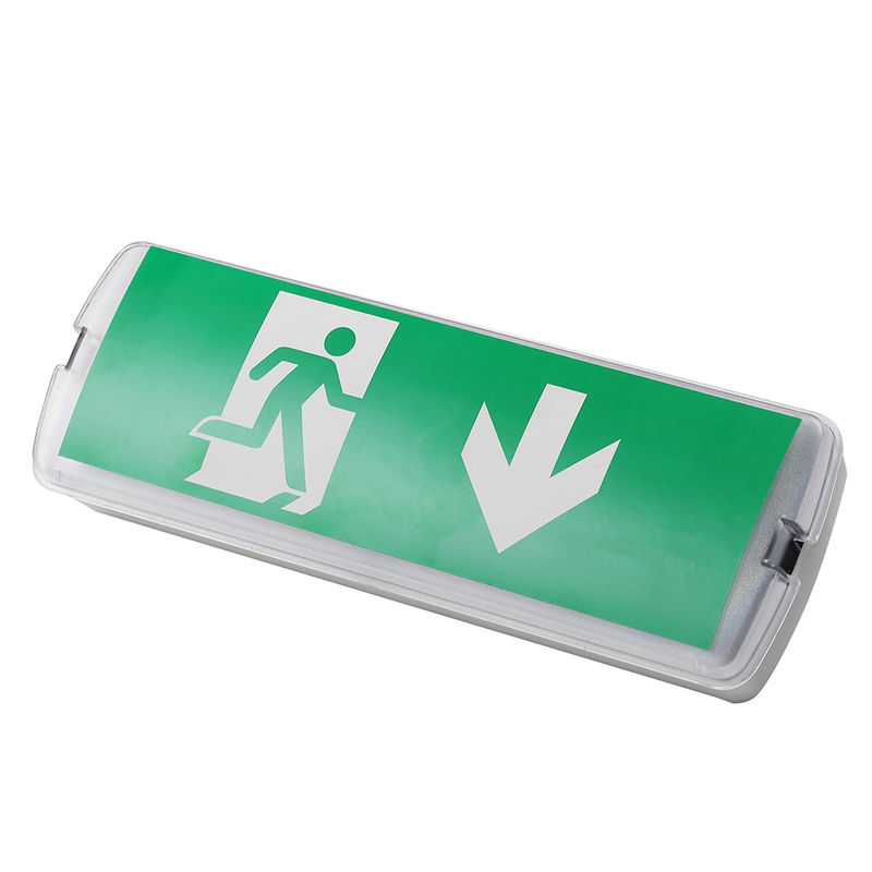 Rechargeable LED Emergency Lamp 3W 6500K Ni CD Battery IP20 SMD LED 220V 240V