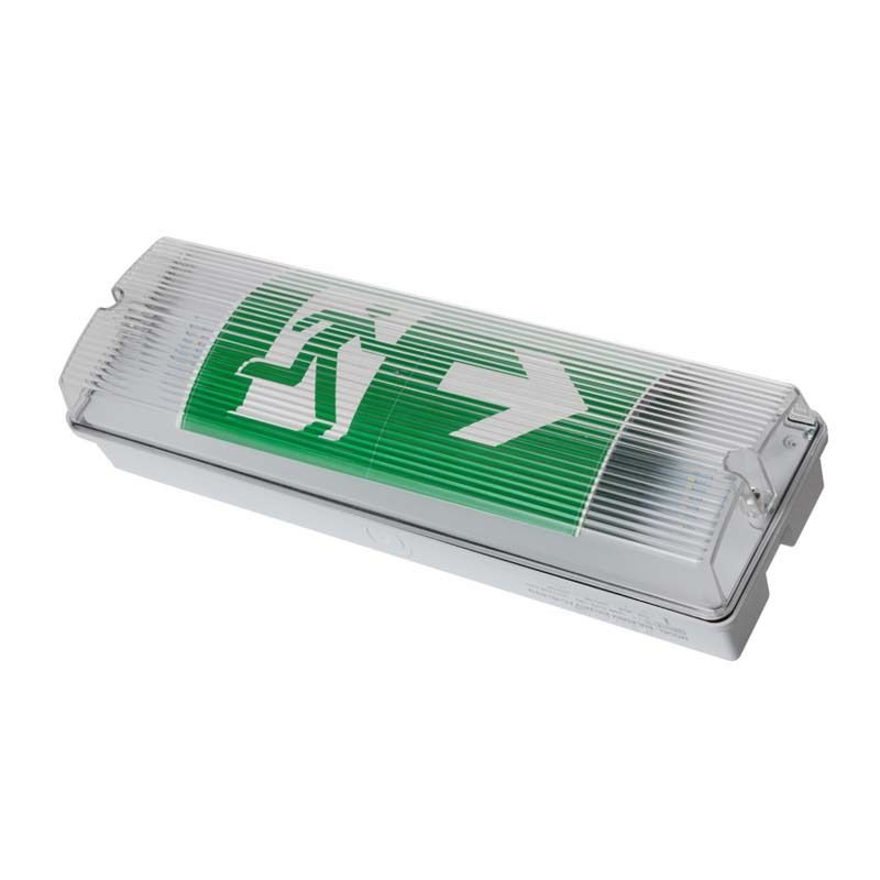 Elevator LED Weatherproof Emergency Light IP65 220V 240V 3H Backup Ni Cd Battery Luminaire