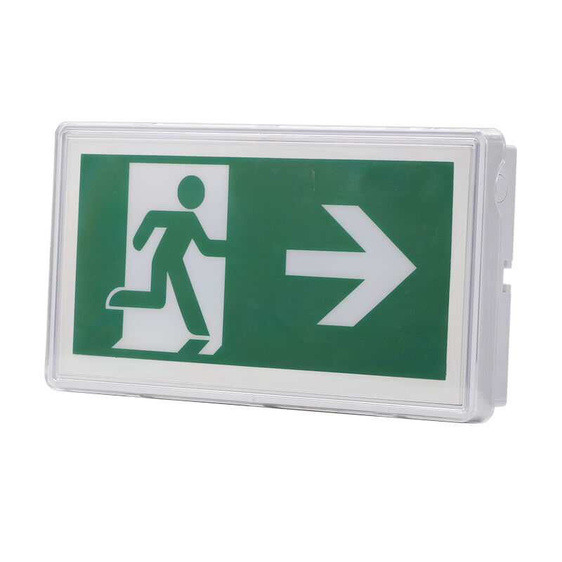 Emergency Exit Sign Light Ceiling Recessed Ni-Cd Battery IP65 Rated 5730 SMD LED