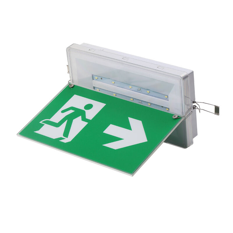 Ceiling Recessed Emergency Exit Sign Light with Ni-Cd Battery IP65 Rated and 5730 SMD LED