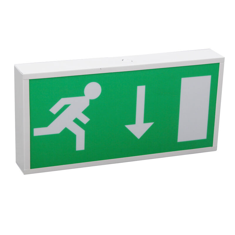 Pictogram Ni-Cd Battery Backup LED Emergency Exit Light 5730 SMD 3 Year Warranty