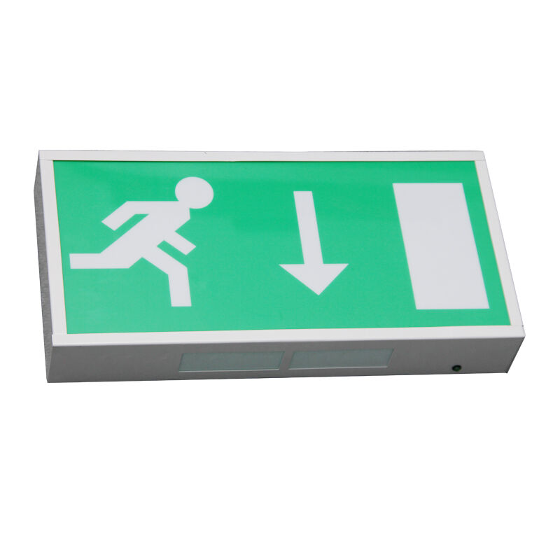 Pictogram Ni-Cd Battery Backup LED Emergency Exit Light 5730 SMD 3 Year Warranty