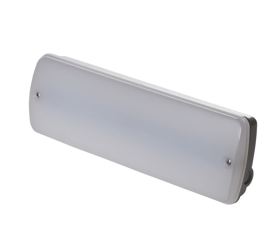 Maintained Non Maintained 3W Waterproof Emergency Light Wet Location Outdoor 3 Years Warranty IP65 L121N