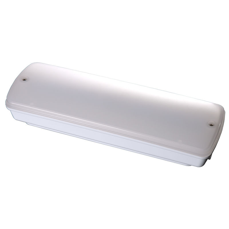 Maintained Non Maintained 3W Waterproof Emergency Light Wet Location Outdoor 3 Years Warranty IP65 L121N
