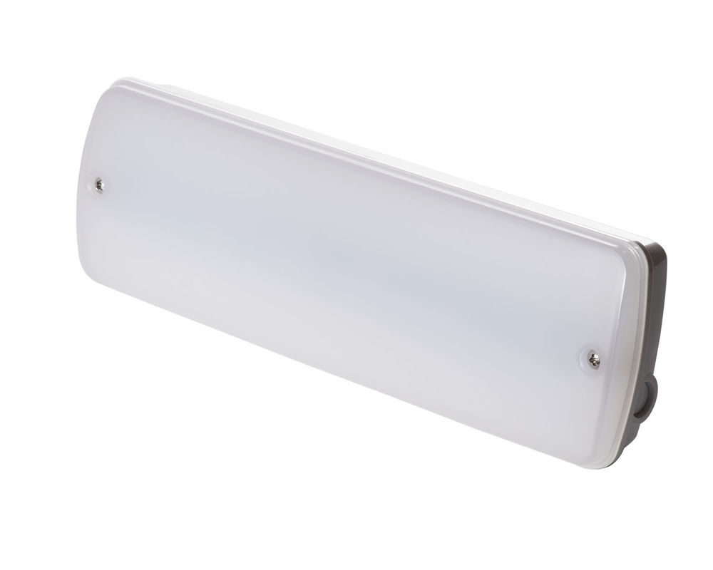Industrial Waterproof Emergency Light 220V Wet Location Outdoor with Battery Backup LED L121N