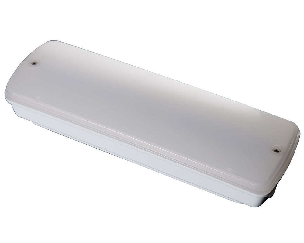 Industrial Waterproof Emergency Light 220V Outdoor Wet Location With Battery Backup LED L121N