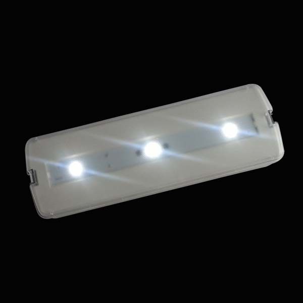 220V Rechargeable LED Emergency Light with Battery Backup CE Approval Wall Surface Mounted L116N-A1