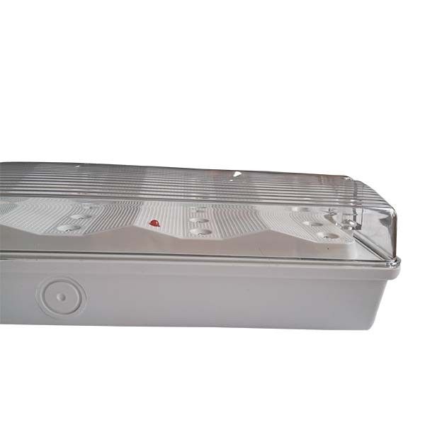 Non Maintained LED Emergency Light with Fire Retardant ABS Casing, IP65 Waterproof, and 3 Hours Duration