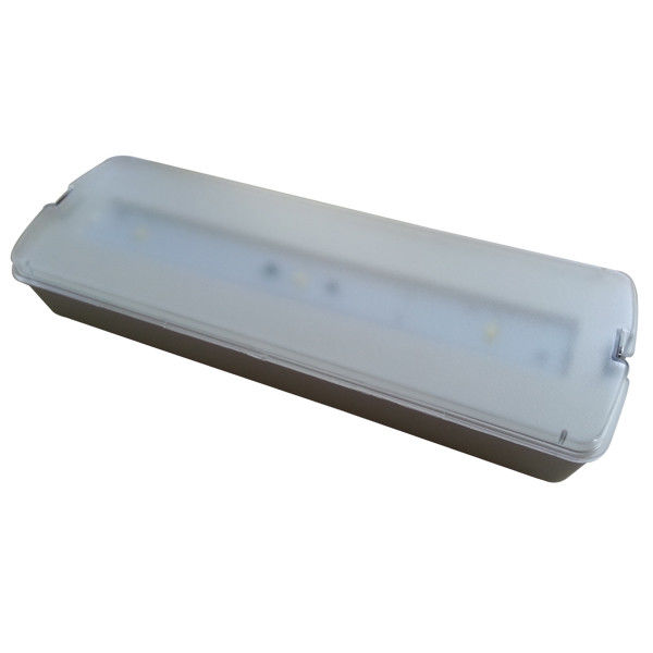 Custom Battery Powered Non Maintained Emergency Light With 5730 SMD LED