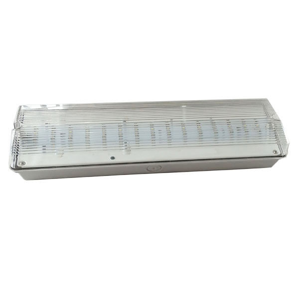 Battery Operated Self Testing Waterproof Emergency Light Outdoor IP65 Wet Location Rechargeable EL030AN